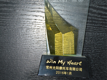 Outstanding Manufacturer Award